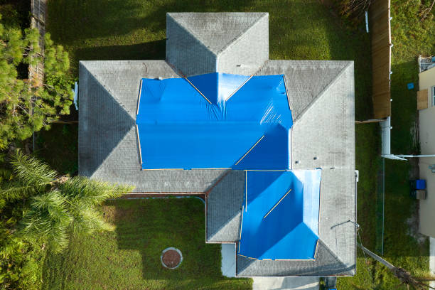 Best Roof Insulation Installation  in Succasunna, NJ